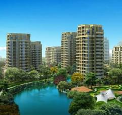 用“芯”說話 一“纜”天下